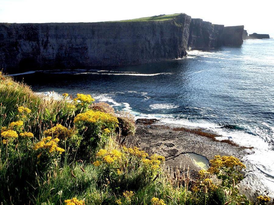 Bealaha House Bed and Breakfast Doonbeg Exteriör bild